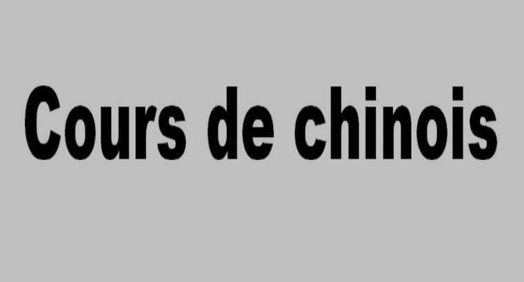 Cours de chinois dans la ville de Le Mans