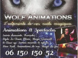 Wolf Animations : Animations et spectacles