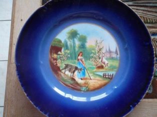 Vends 15 assiettes anciennes