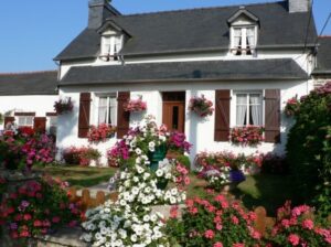 Le grand Hortensia centre Finistère Pleyben