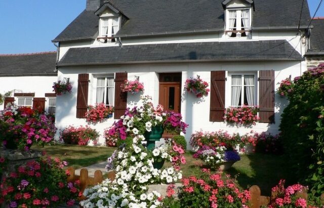 Le grand Hortensia centre Finistère Pleyben