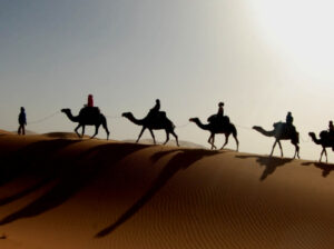 Excursions Maroc